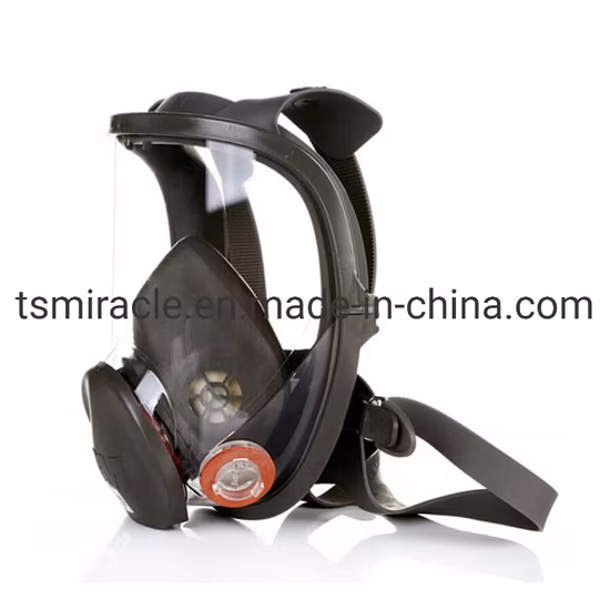 Gas Mask Reusable Filter Mask Chemical Industry Building